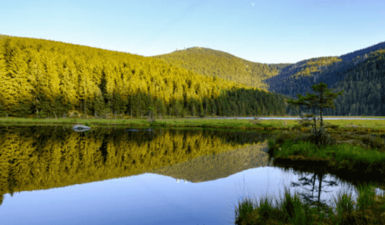 Área de autocaravanas de Lohberg (Upper Palatinate)