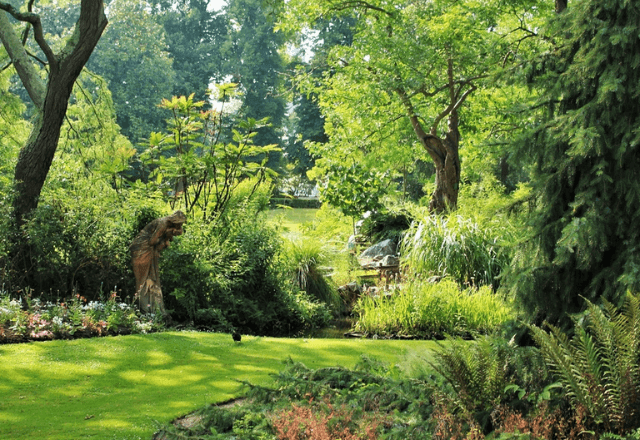 Remarkable Garden 🌿