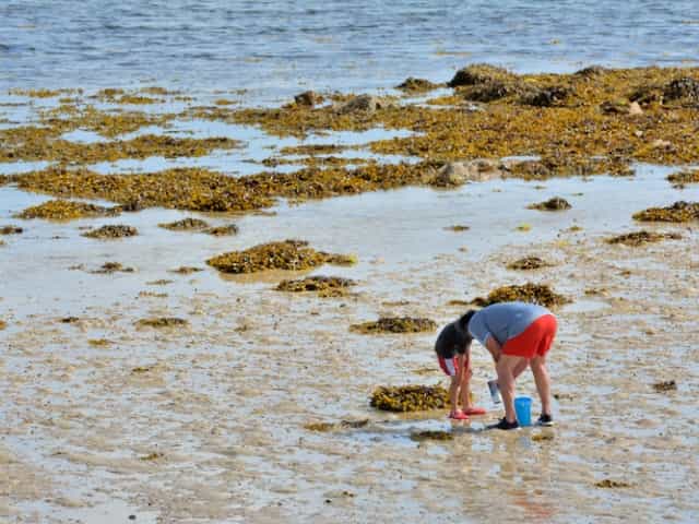 As marés vivas 🌊