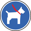 Chien en laisse autorisé Chien en laisse autorisé